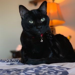 Meet your Posher, Lori